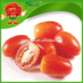 TOMATES DE CHERRY FRAIS